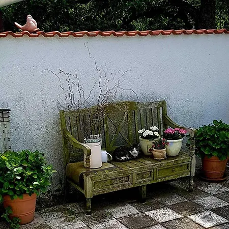 Riemeyer Апартаменты Wittenberg