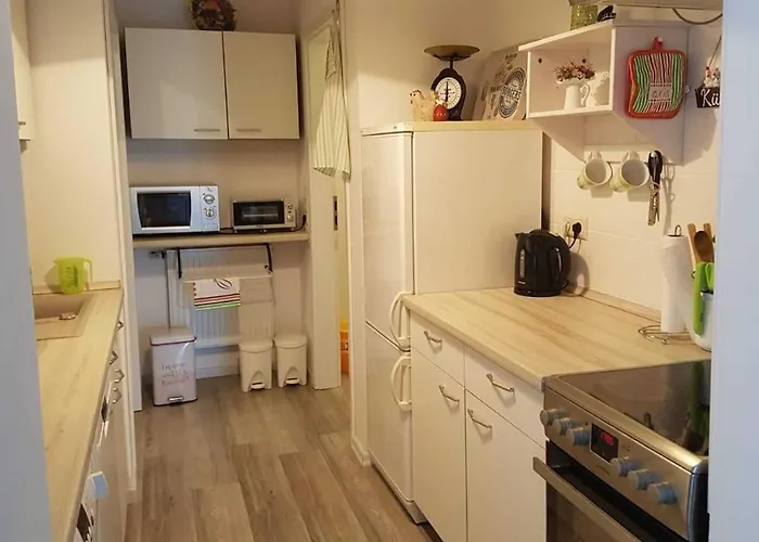 Riemeyer Daire Wittenberg